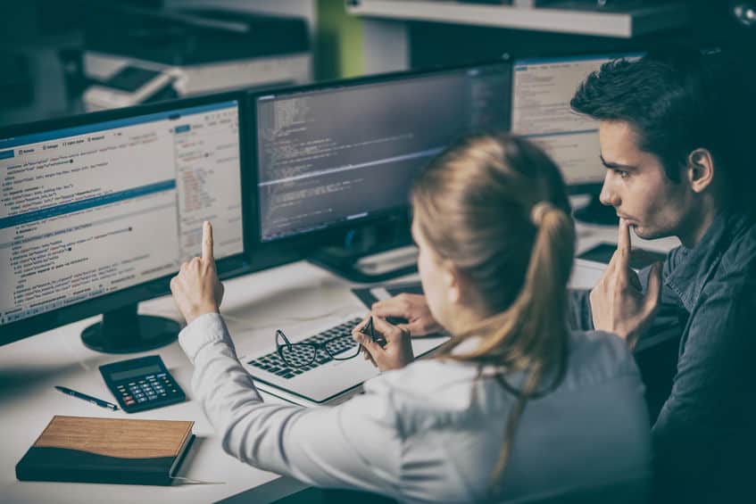 What does a software developer do