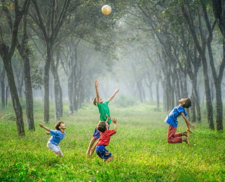 Child Psychotherapist