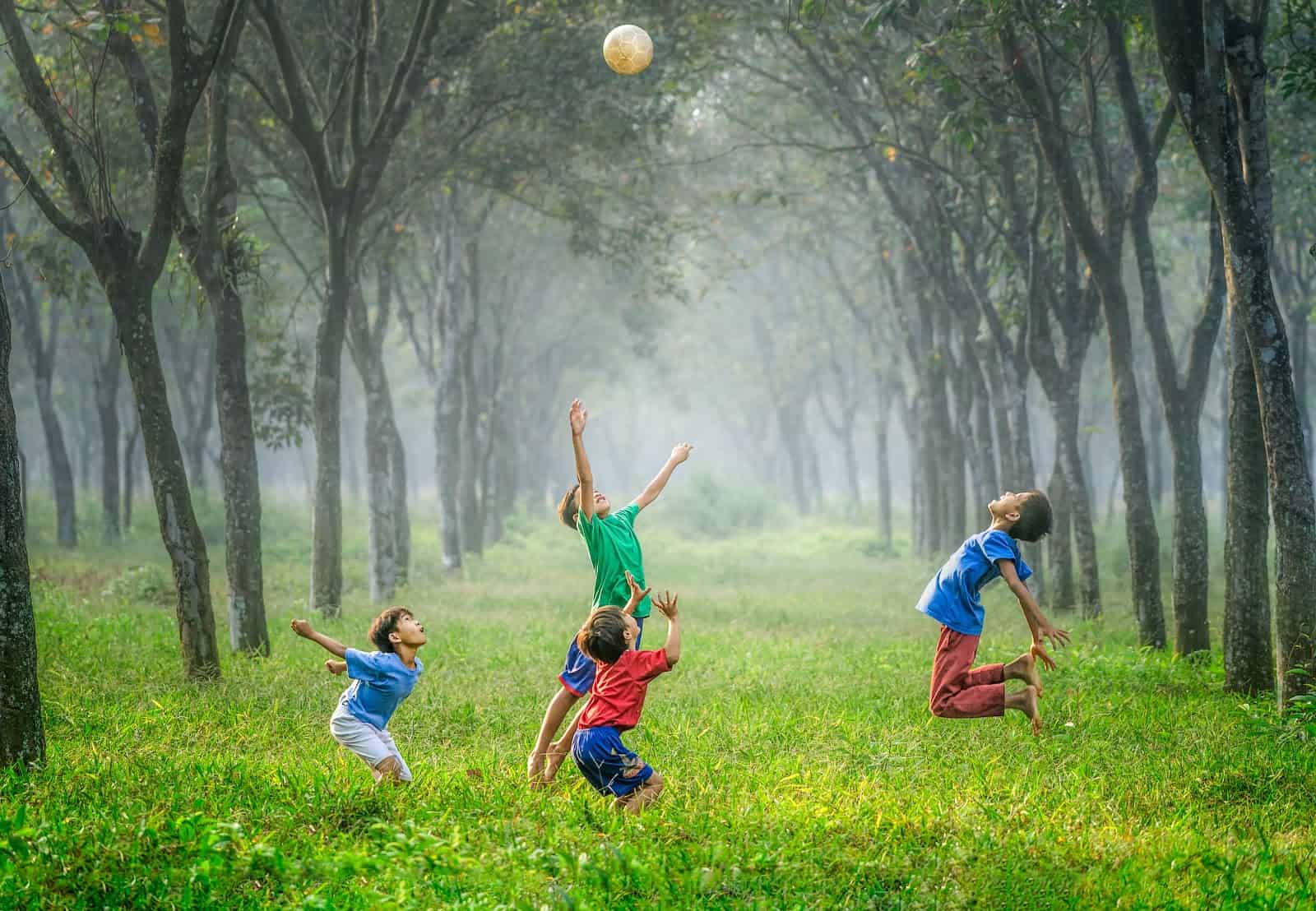 Child Psychotherapist
